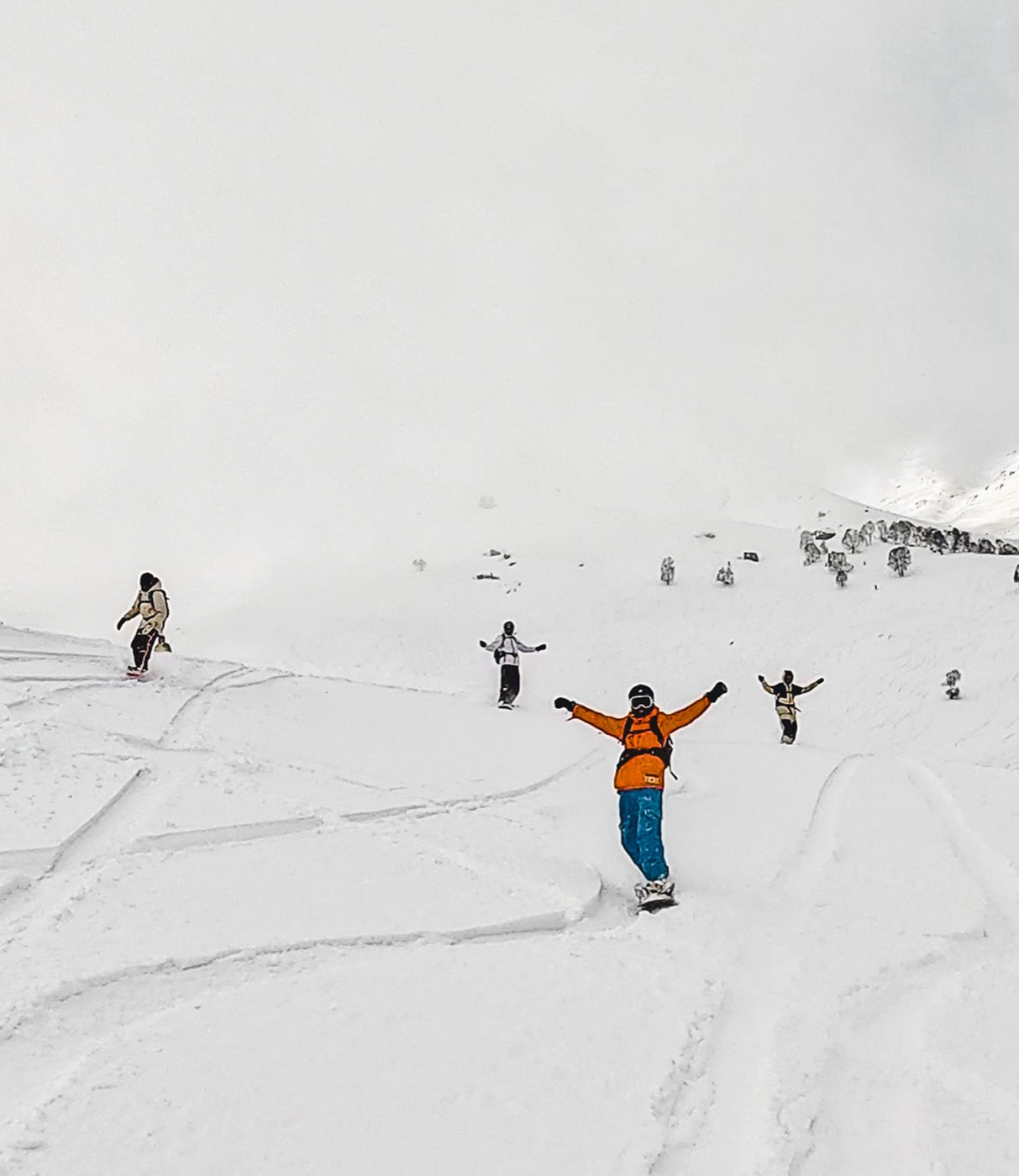 Snow community in India